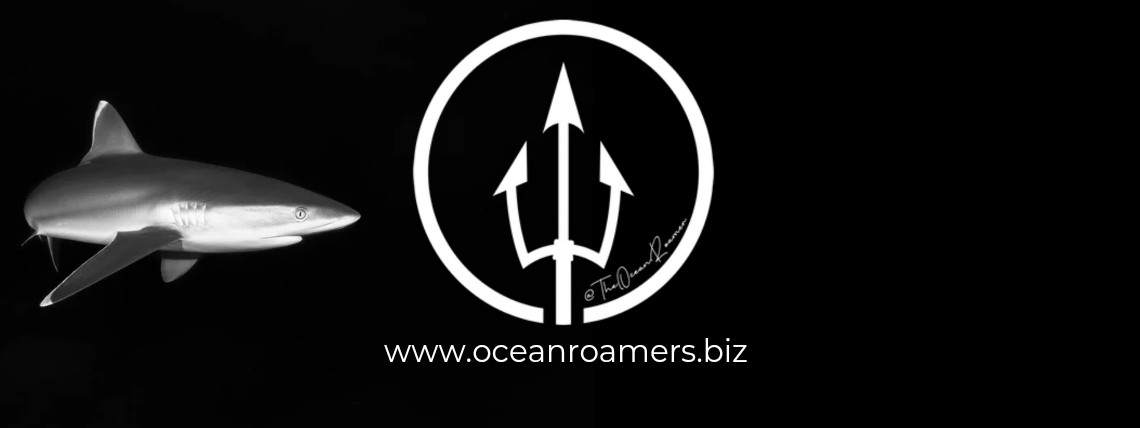 TheOceanRoamer