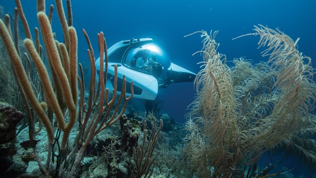 NEMO Sub
