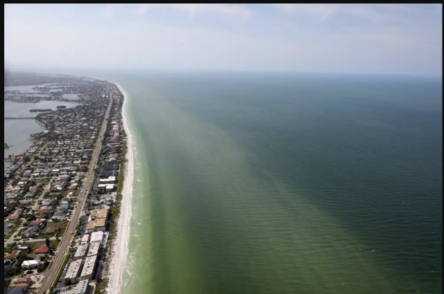 red-tide-florida