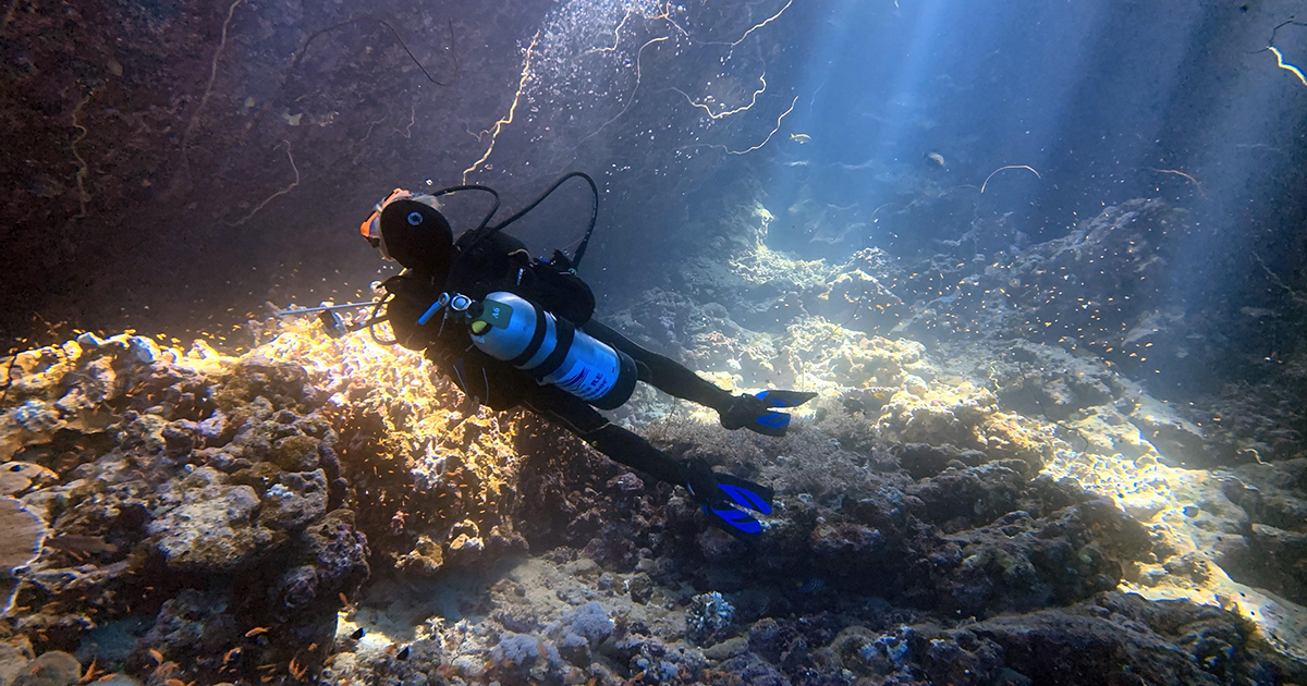 Five Great Dive Sites in Sudan’s Red Sea