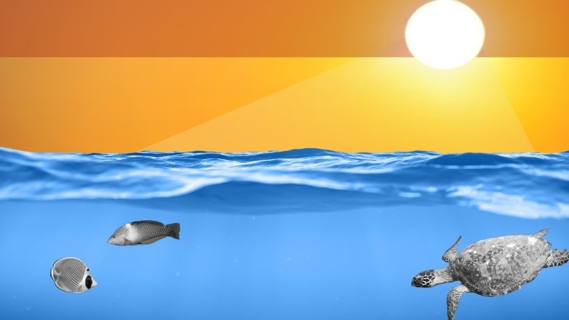 The dire consequences of the world's 'relentless' warming oceans