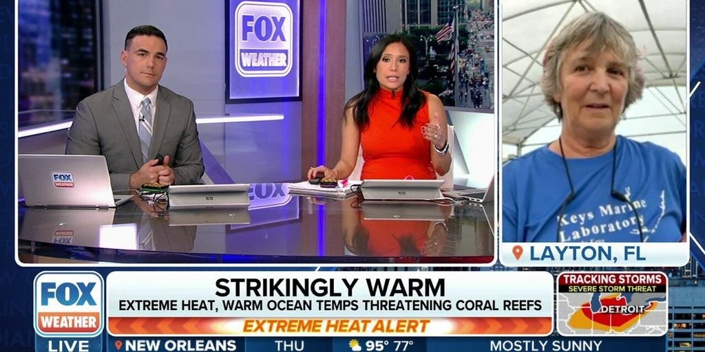 After 'first of its kind' marine heat wave, Florida corals begin return to ocean