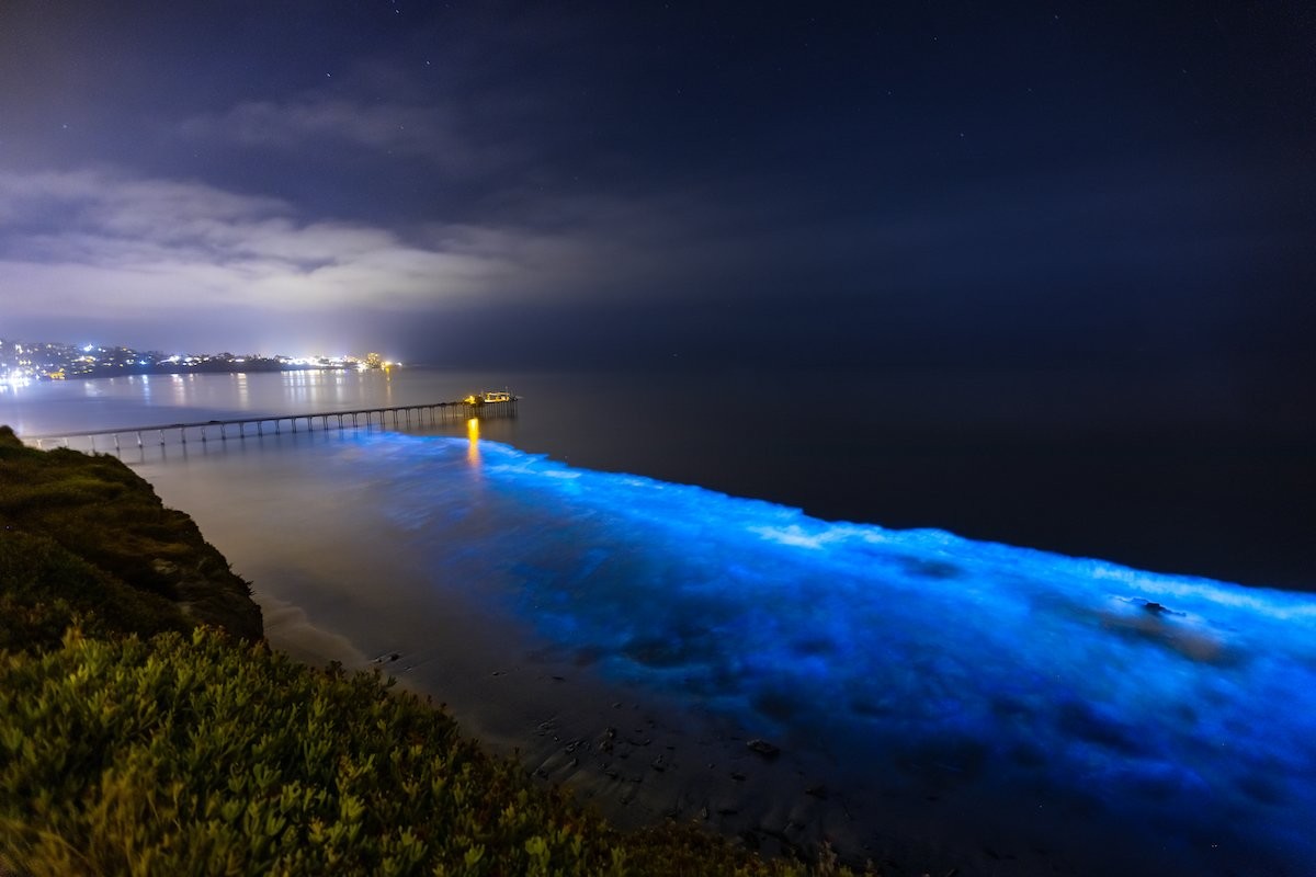 Bioluminescent Waters Glowing Along The Southern California Coast