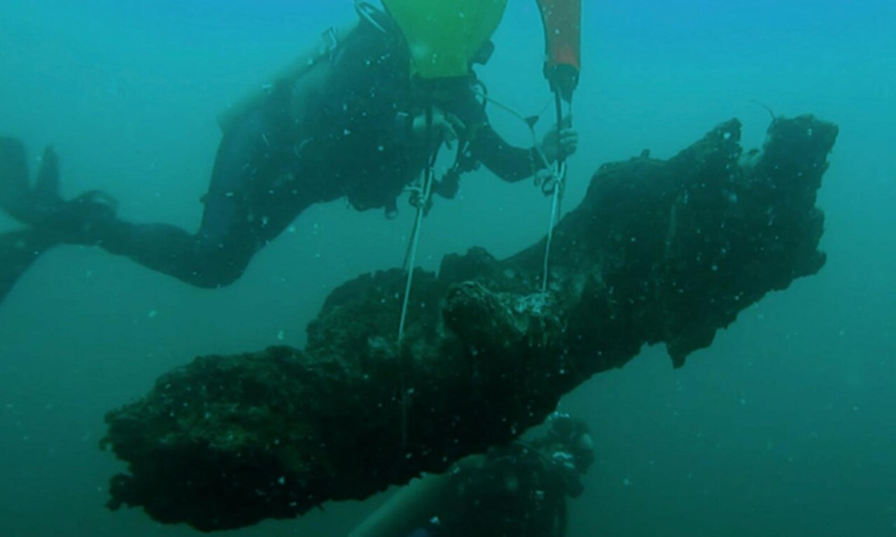 'One of a kind': calls to protect Alabama's 60,000-year-old underwater forest