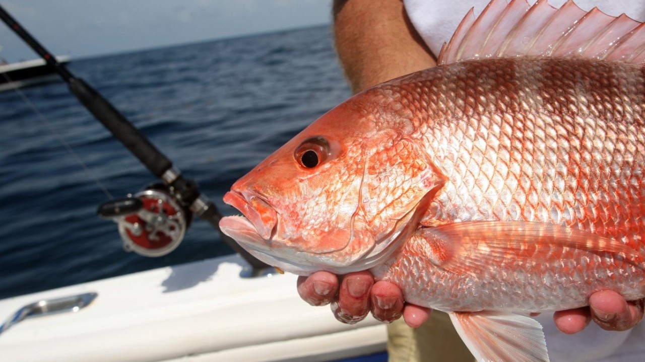 The Worst Seafood to Eat