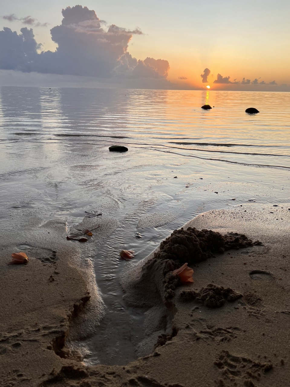 Groundwater flow can alter coral reef chemistry and trigger ecosystem-wide changes