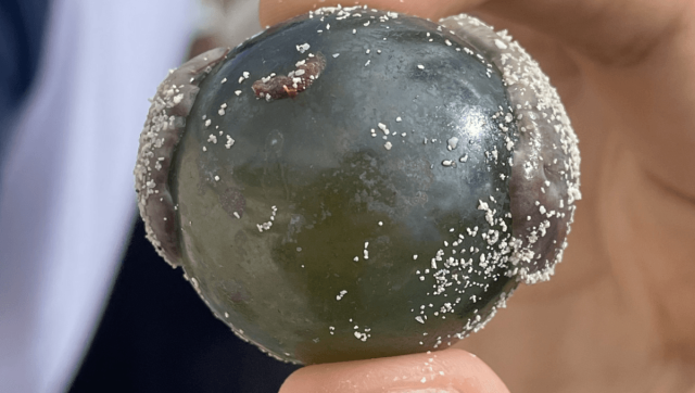 This “Sailor’s Eyeball” Blob Is One Of The Largest Single-Celled Organisms On Earth