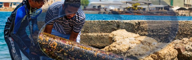 I clean underwater, you clean above water, we clean. Cleaner waterways, for a clean Port Sudan. #OPREDSEA