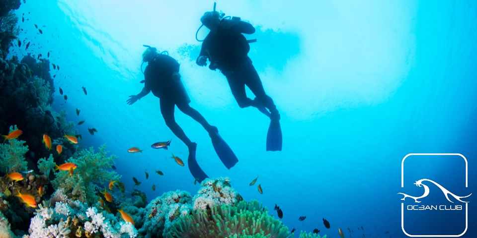 Open Water Scuba Diver Private Course