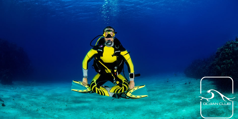 One Diver Buddha